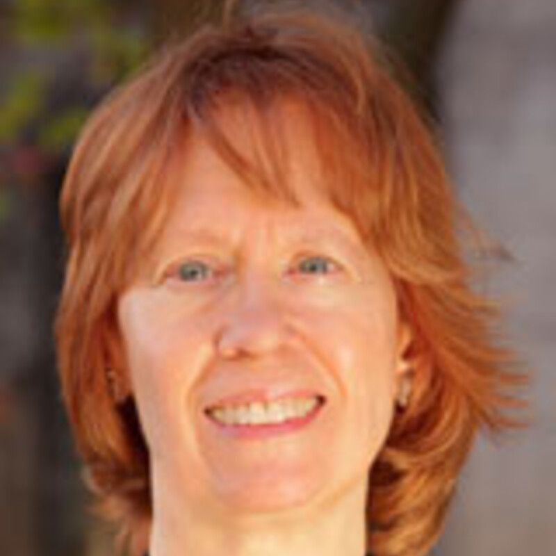 Siefert K Heflin C Williams D R (2002 November) Household