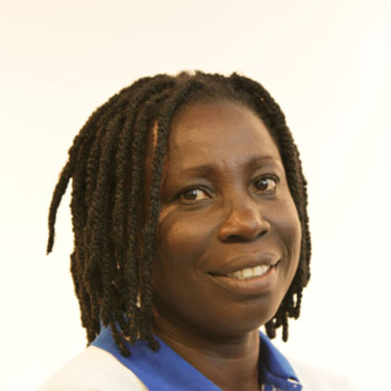 Elizabeth N. Koomson