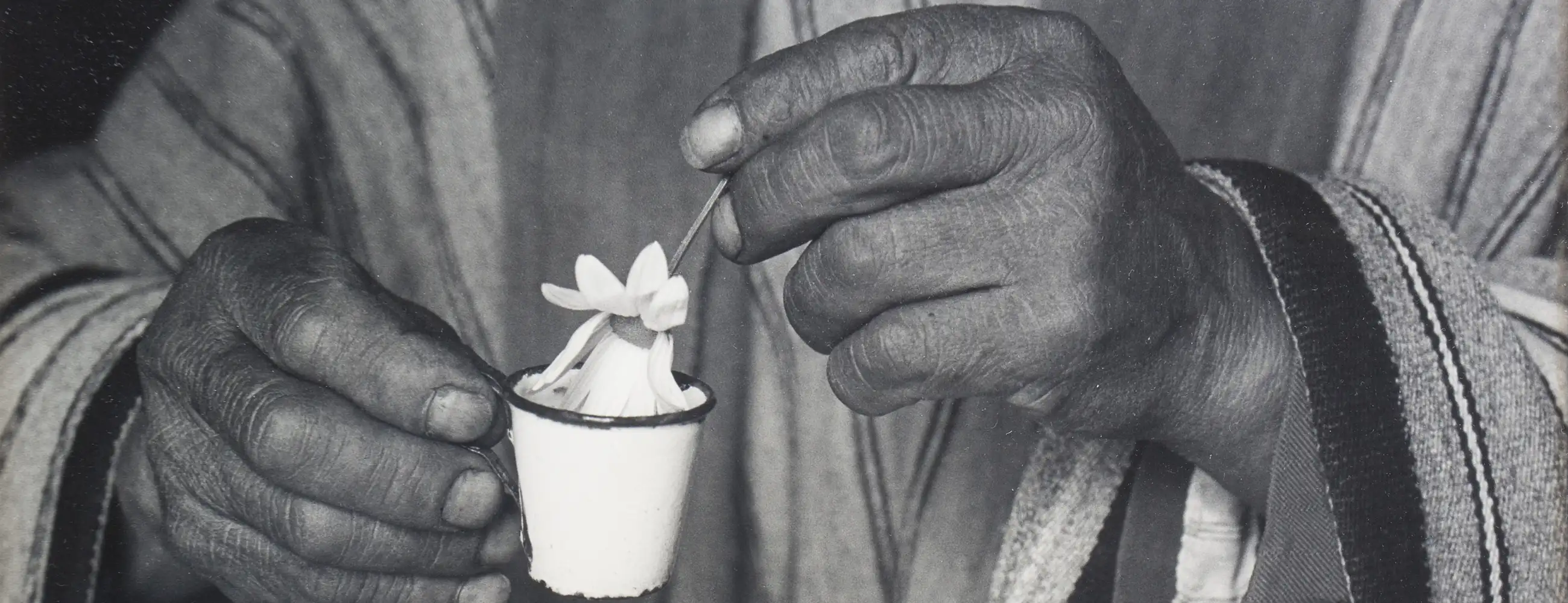 A person holding a flower in a cup