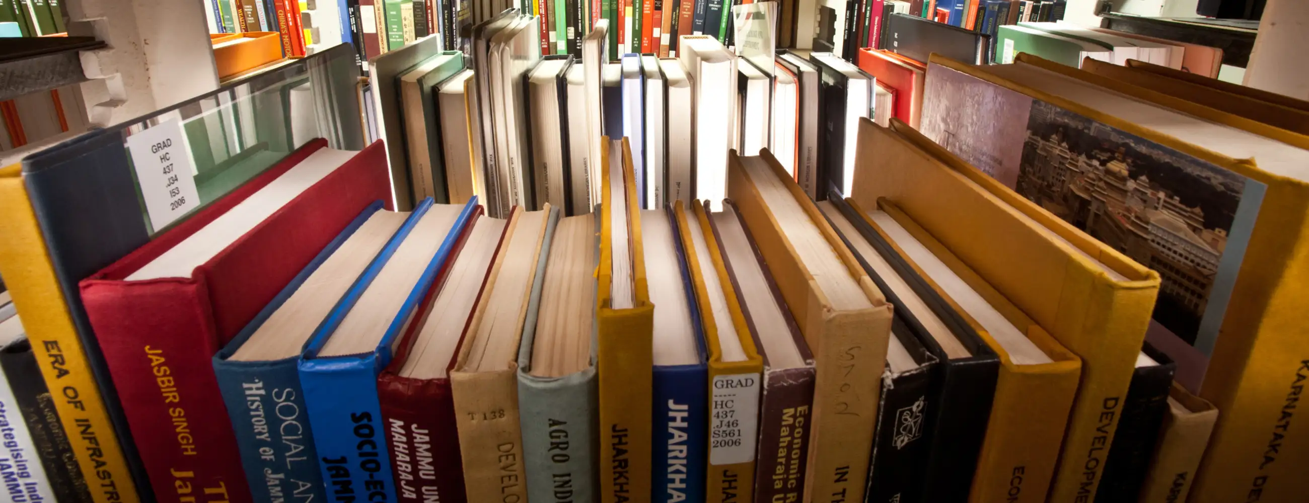 Colorful library books on a shelf.