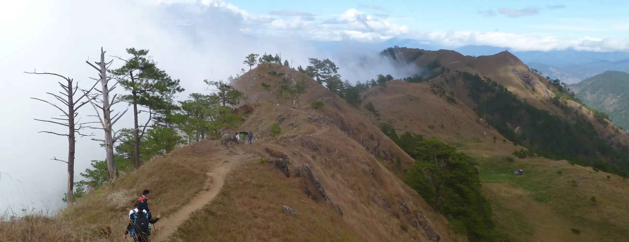 A photo of a trail on Mt. Ulap in the Phillipines