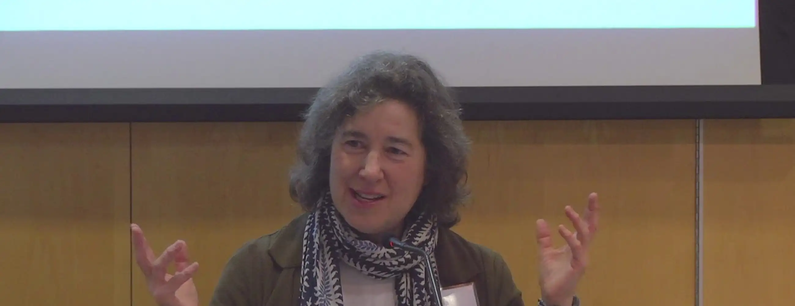 Jewish Feminisms/American Visions