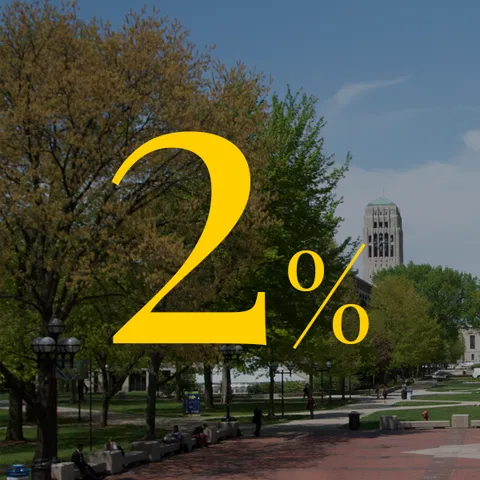 The number 2 percent with a background of the Michigan Diag.